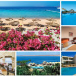2. Sharm El Sheikh - Reef Oasis Beach Resort